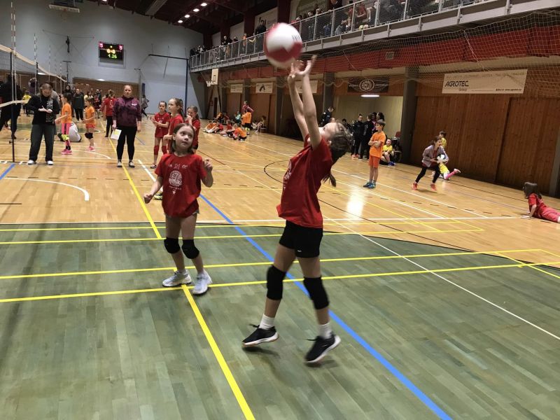 👉Úspěchy volejbalové přípravky 👍